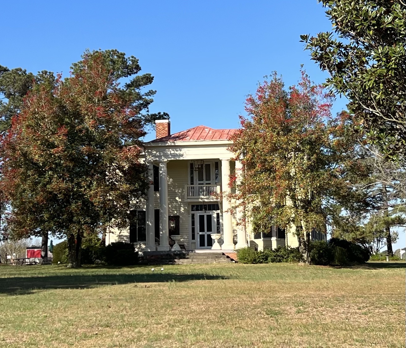 William Barnes plantation, part 2. Black WideAwake