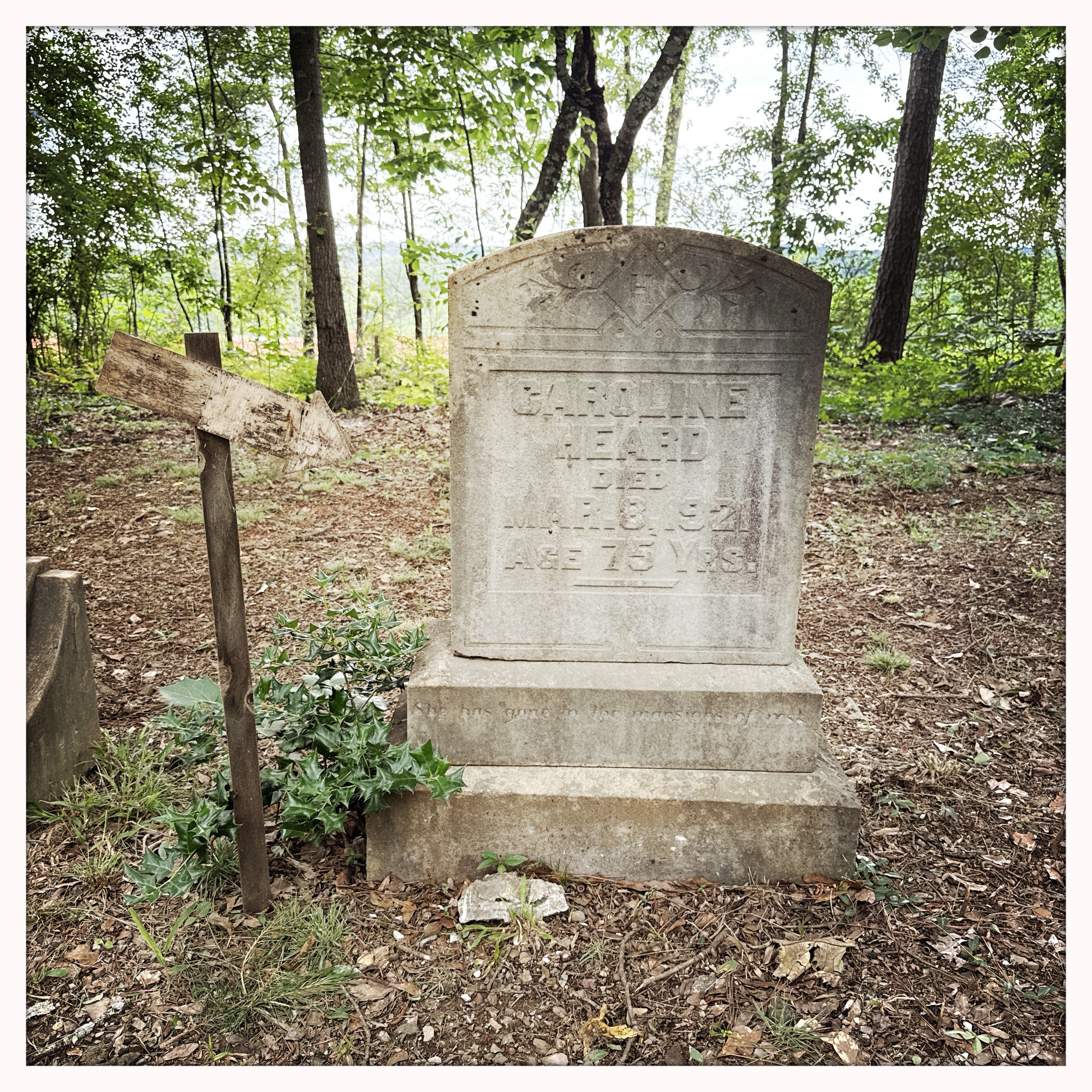 Colbert Ga Lane Street Project: Colbert Cemetery, Calhoun, Georgia. | Black Wide-Awake